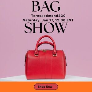 Unlisted Bag sale 17 Jan